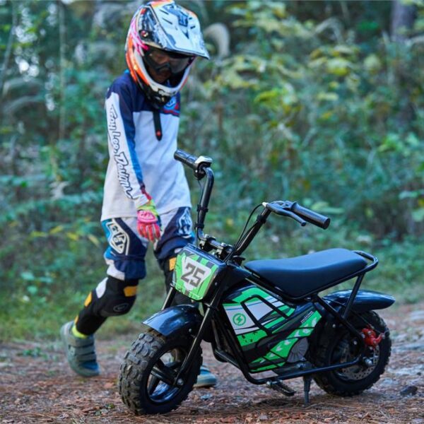 mototec 24v/9ah 250w electric mini bike
