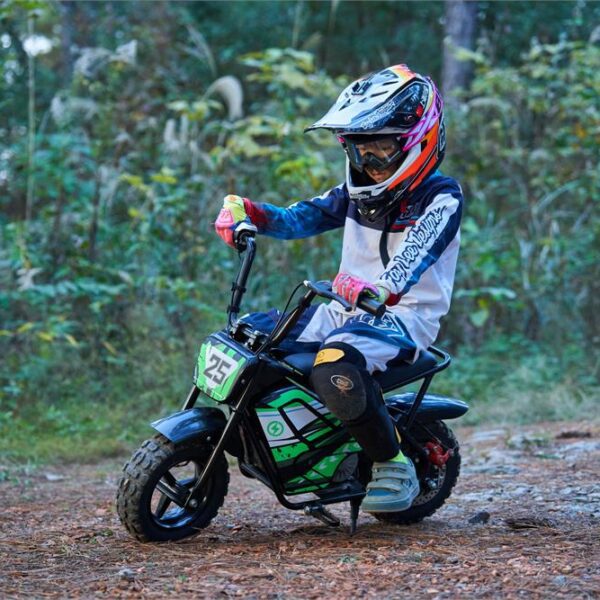 mototec 24v/9ah 250w electric mini bike