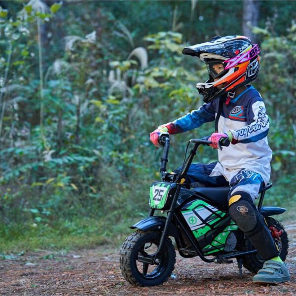 mototec 24v/9ah 250w electric mini bike