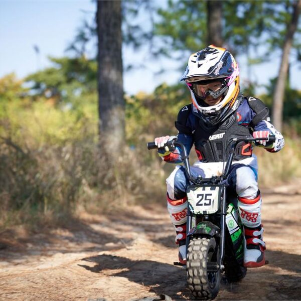 mototec 24v/9ah 250w electric mini bike