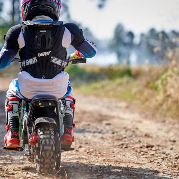 mototec 24v/9ah 250w electric mini bike