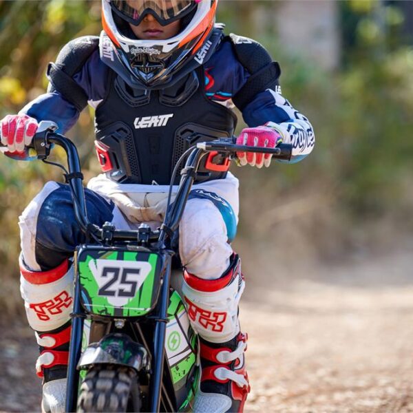 mototec 24v/9ah 250w electric mini bike