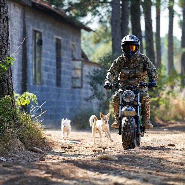 mototec 60v/20ah 1500w electric mini bike