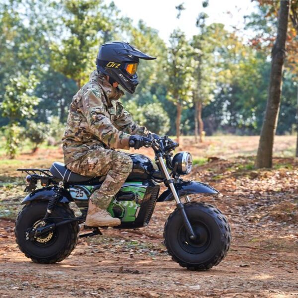 mototec 60v/20ah 1500w electric mini bike