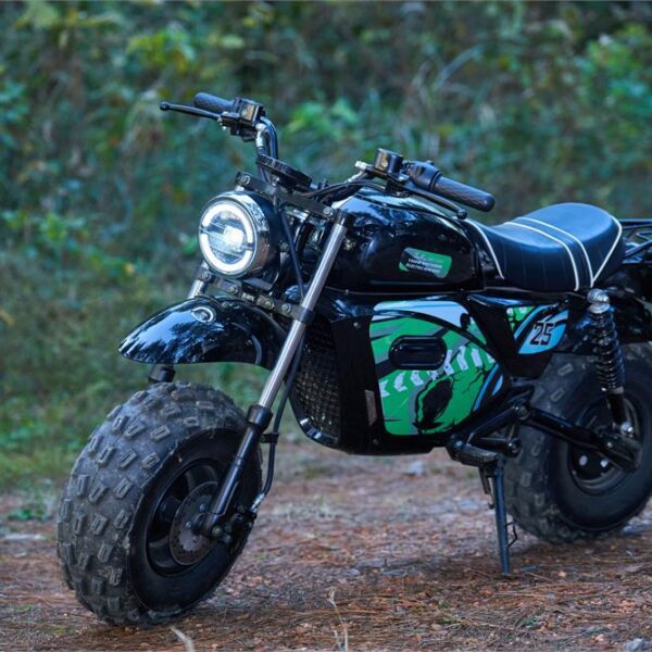 mototec 60v/20ah 1500w electric mini bike