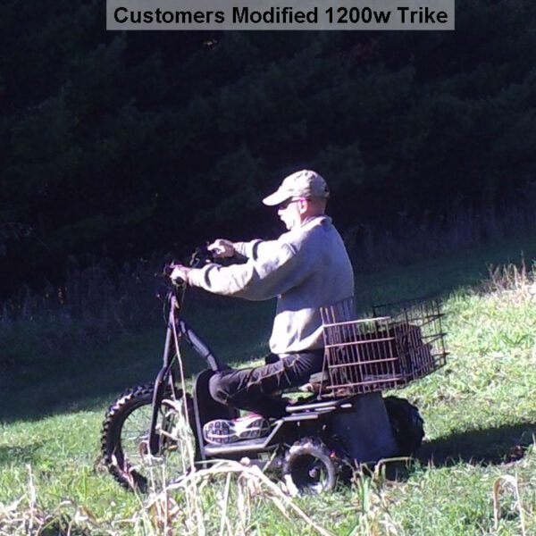 mototec electric trike 48v/24ah 1200w