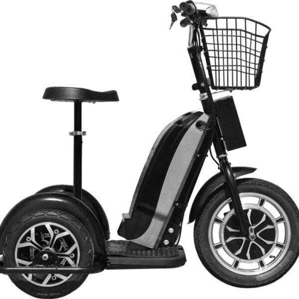 mototec electric trike 48v/12ah 800w