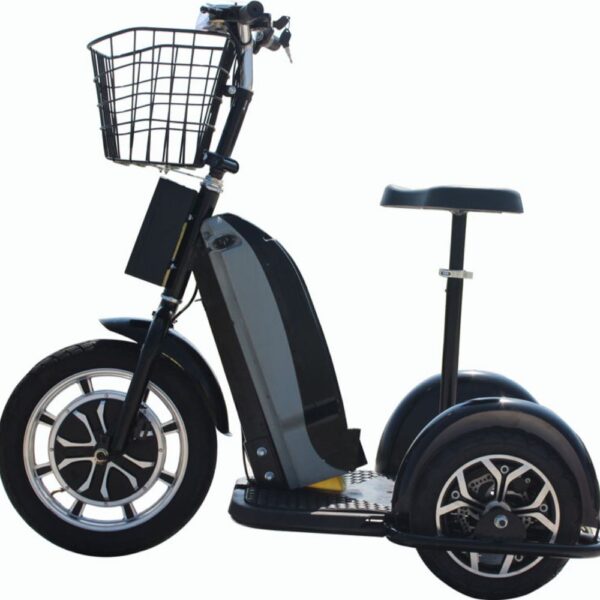 mototec electric trike 48v/12ah 800w