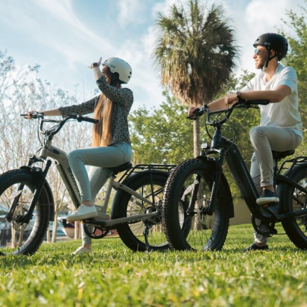 ranger step thru 2.0 electric bike
