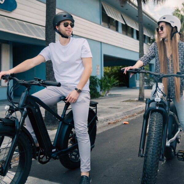 ranger 2.0 fat tire all terrain electric bike