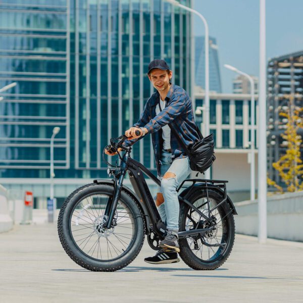 ranger 3.0 fat tire all terrain electric bike