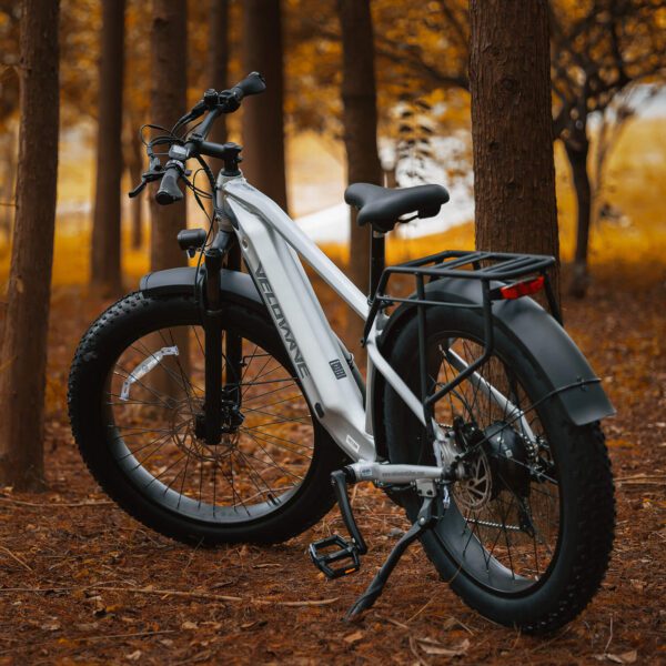ranger 3.0 fat tire all terrain electric bike