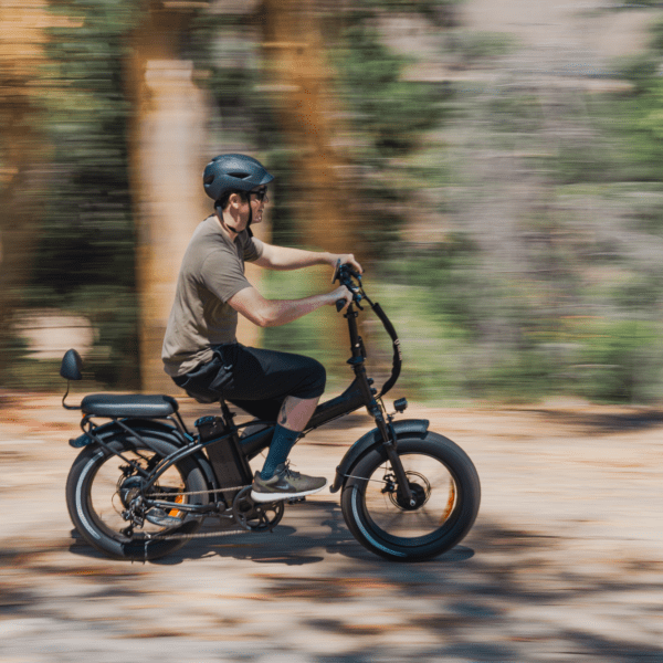 rattan lm 750 pro electric fat tire bike