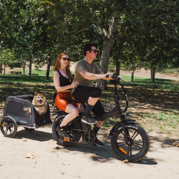 rattan lm 750 pro electric fat tire bike