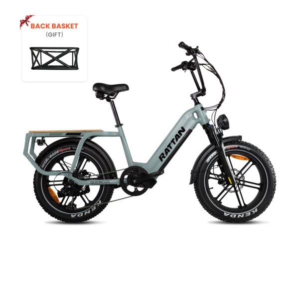 rattan quercus electric fat tire bike