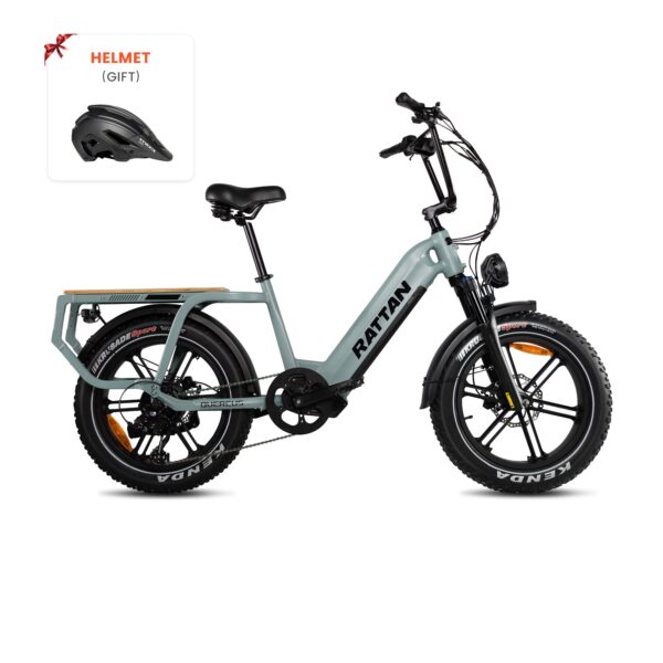 rattan quercus electric fat tire bike