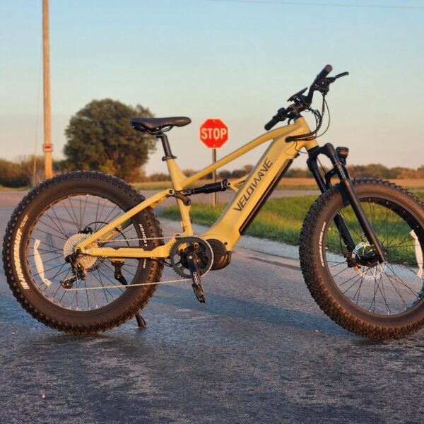 brawny xm mtb mountain electric bike