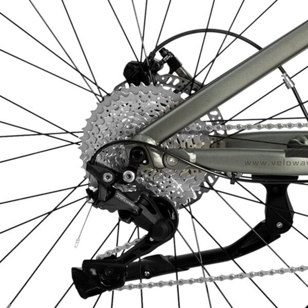 forest sm mtb