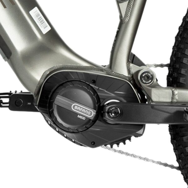 forest sm mtb