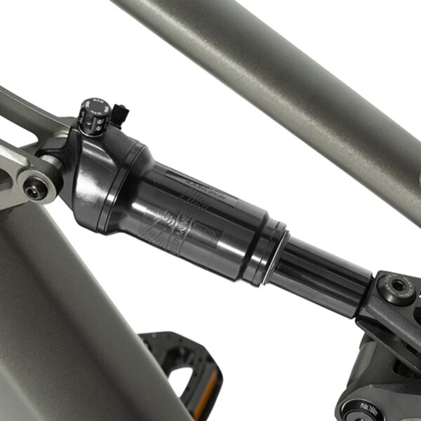 forest sm mtb