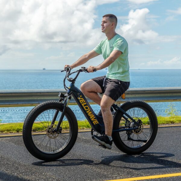 rover step thru electric bike
