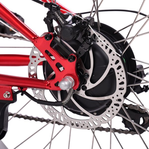 micargi raiatea 500w tandem electric bicycle