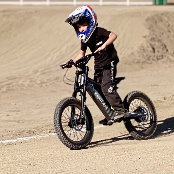 voltaic youth electric dirt bike 18'' flying fox