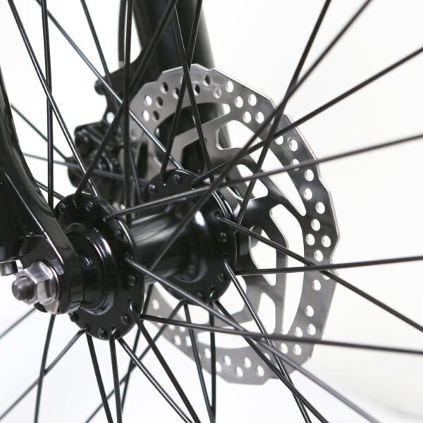 nakto santa monica 48v/10ah 750w fat tire electric bike