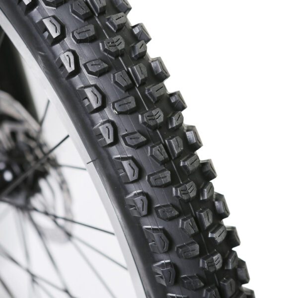 nakto santa monica 48v/10ah 750w fat tire electric bike