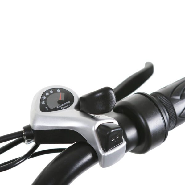 nakto santa monica 48v/10ah 750w fat tire electric bike
