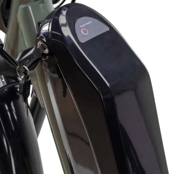 nakto s02 48v/16ah 500w electric trike