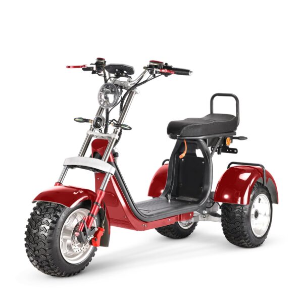 4000w 40ah swinging trike dual drive all terrain t7.4