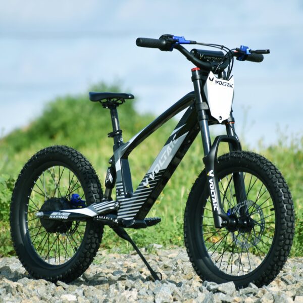 voltaic youth electric dirt bike 20'' flying fox