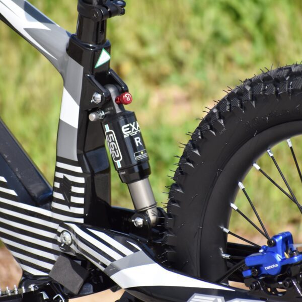 voltaic youth electric dirt bike 20'' flying fox