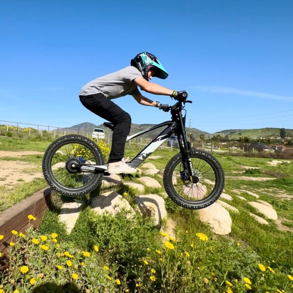 voltaic youth electric dirt bike 20'' flying fox