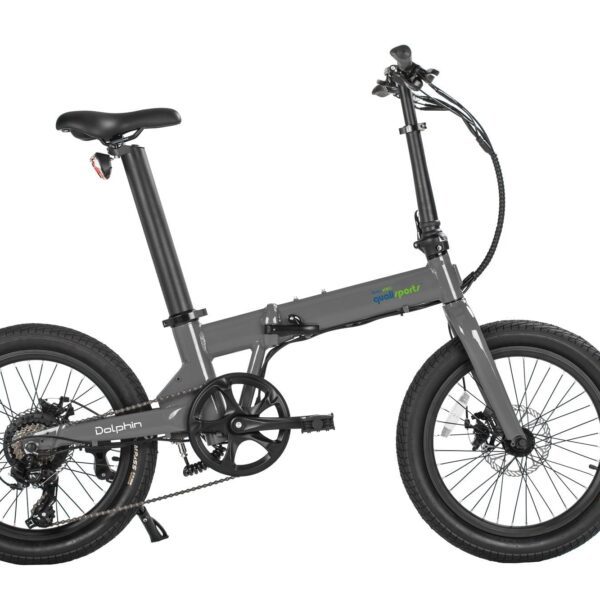 qualisport dolphin