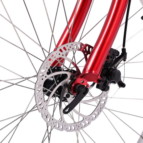 micargi raiatea 500w tandem electric bicycle