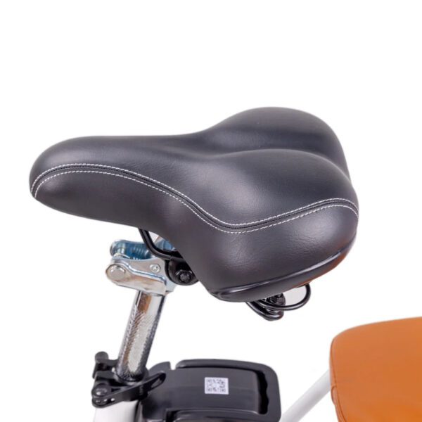 nakto elegance 2 48v/10ah 500w electric bike