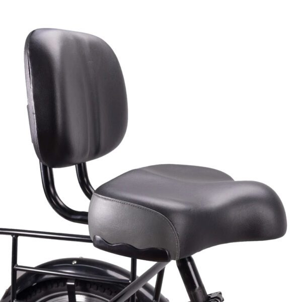nakto s02 48v/16ah 500w electric trike