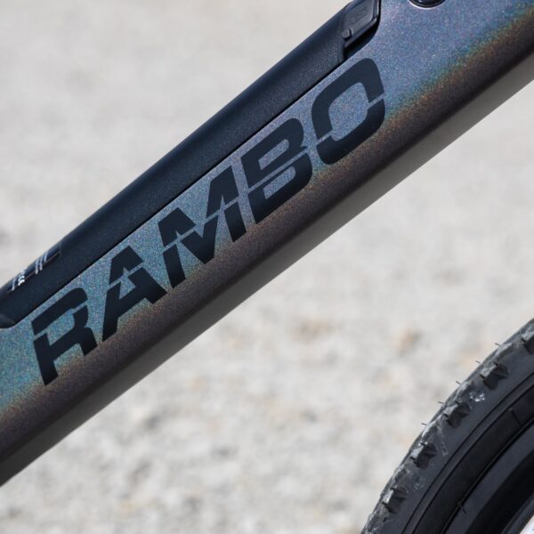 kid's 24" chameleon