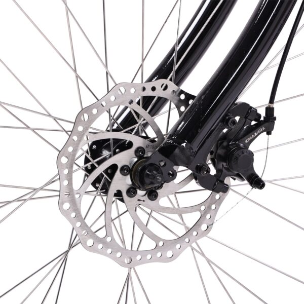 micargi aloha 26" tandem beach cruiser electric bike