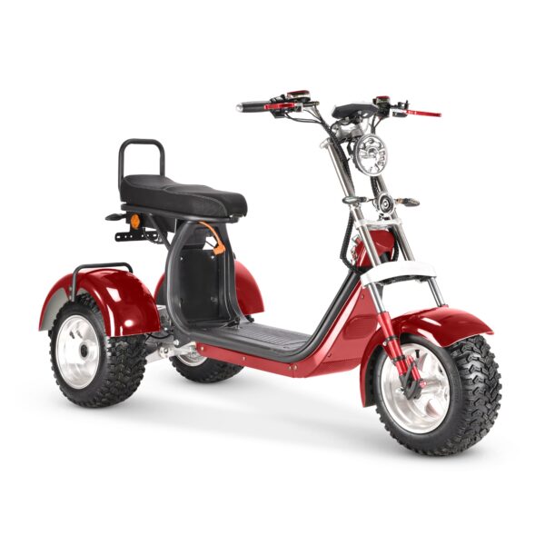 4000w 40ah swinging trike dual drive all terrain t7.4