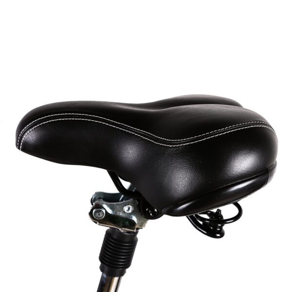 nakto camel 36v/10ah 250w/350w electric bike