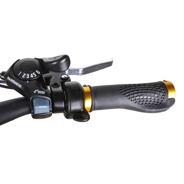 nakto cruiser 36v/10ah 300w fat tire electric bike