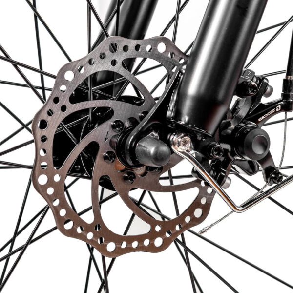 nakto cruiser 2 48v/12ah 750w fat tire electric bike