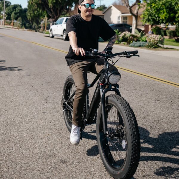 micargi steed electric mountain bicycle