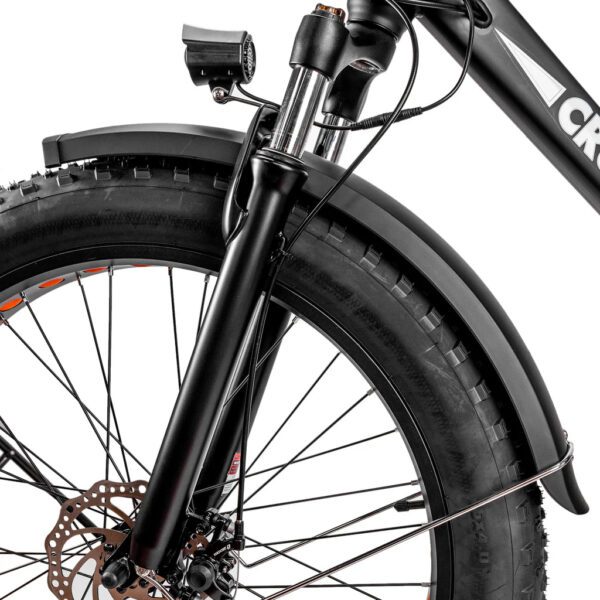 nakto cruiser 2 48v/12ah 750w fat tire electric bike