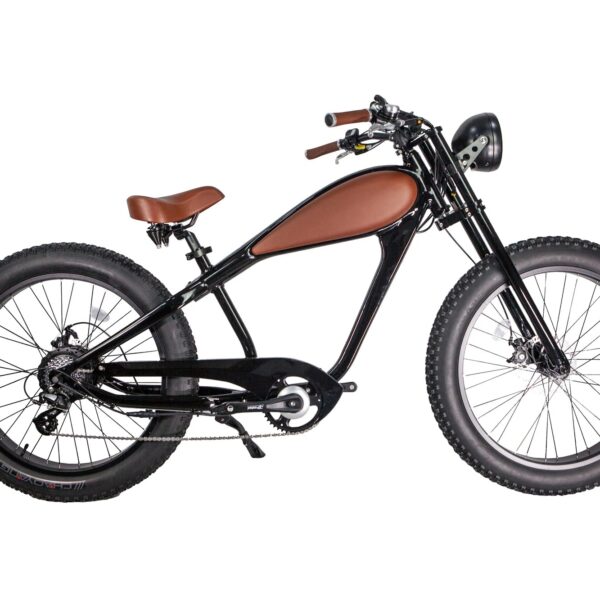 glare wheel eb ch electric bike fat tire 750w 17ah