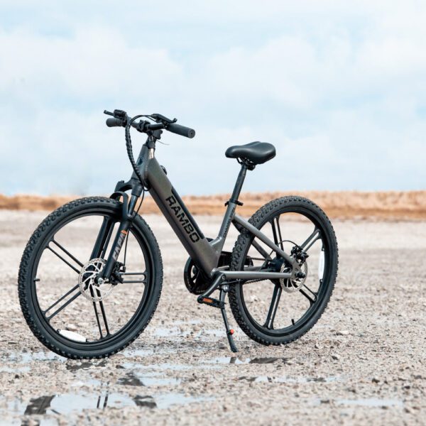 kid's 24" chameleon