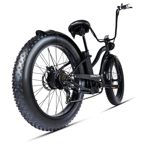 loiter 800w beach cruiser ebike